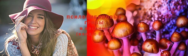 таблы Вязьма